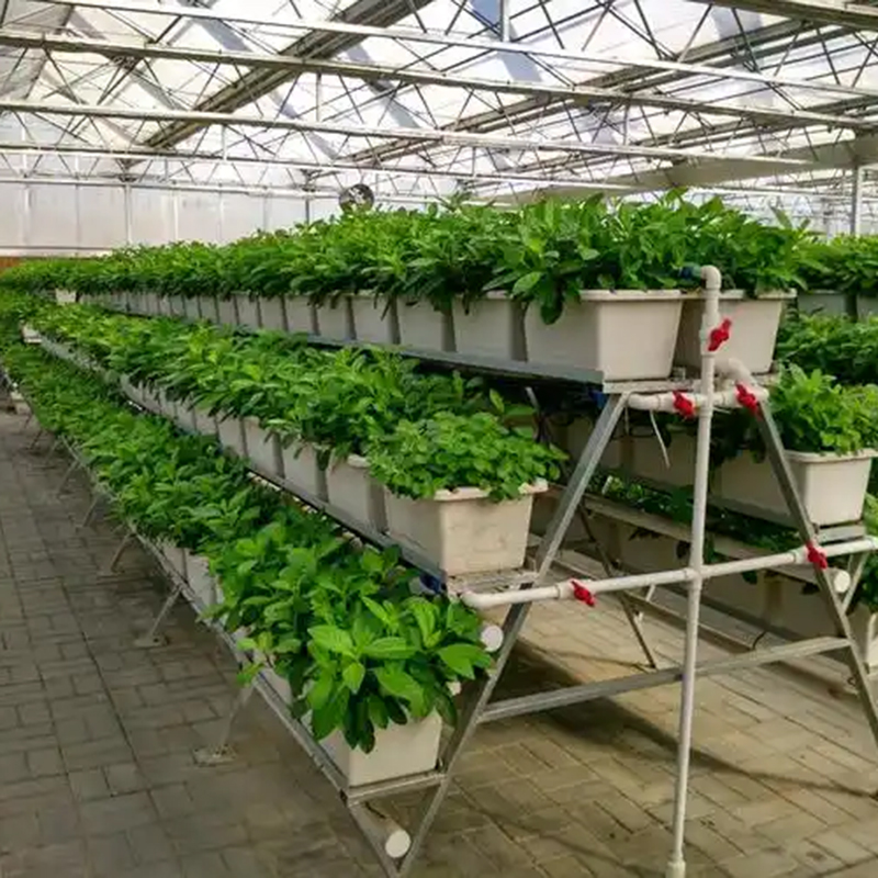 漯河市植物工厂水培设备 - 推荐