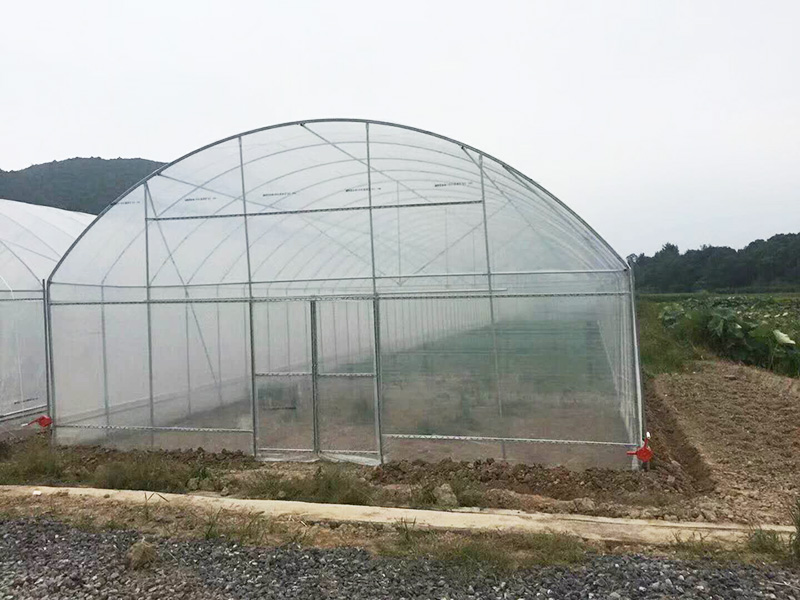 漯河市薄膜大棚水培设备 - 厂家